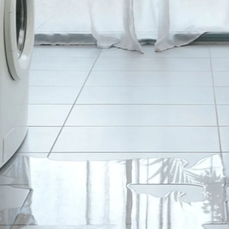 Appliance Leak Cleanup in Prospect Park, NJ