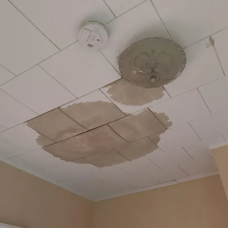 Ceiling Water Damage Repair in Prospect Park, NJ