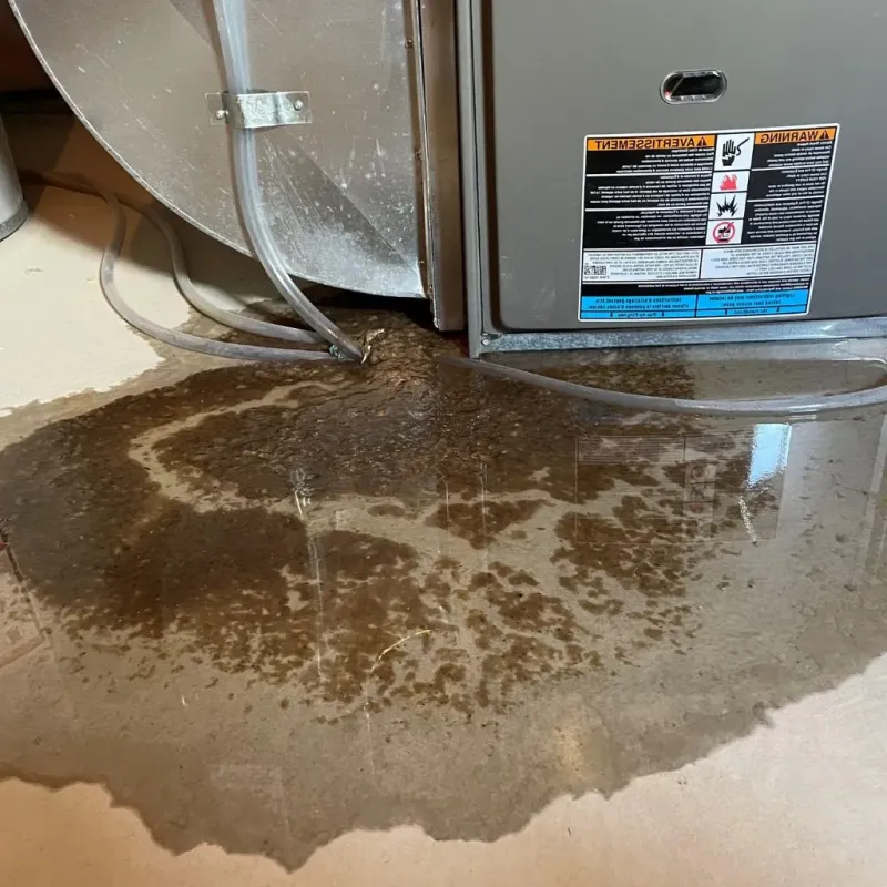 Pipe Burst and Leak Restoration in Prospect Park, NJ
