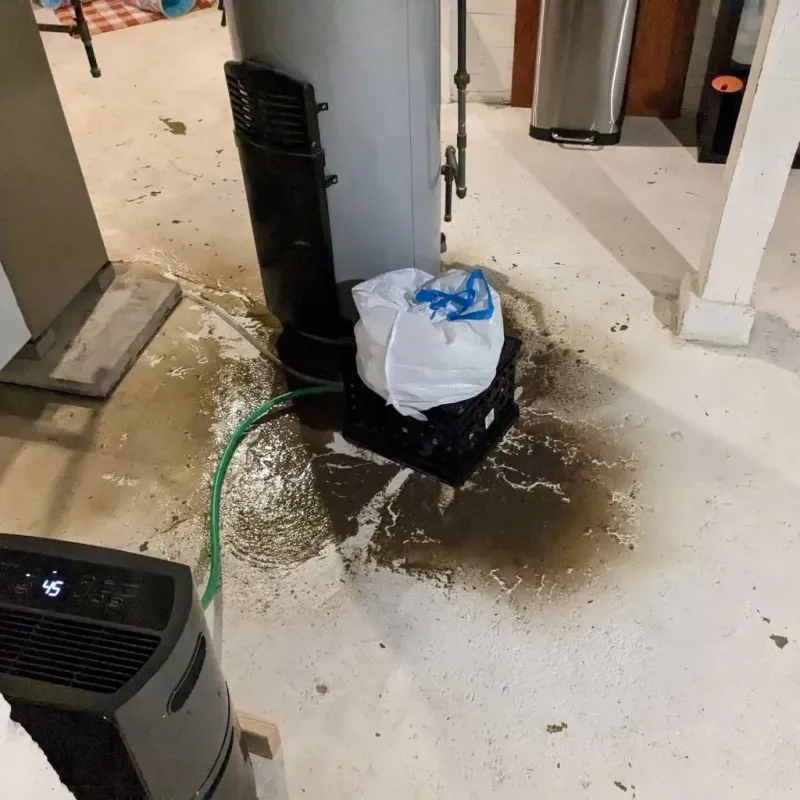 Sewage Backup Cleanup Service in Prospect Park, NJ
